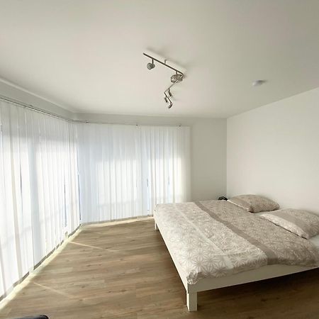 Modern One Bedroom + Bathroom Apartment, 10 Min From Basel City Гренцах-Вилен Экстерьер фото