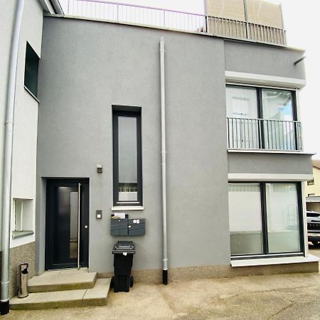 Modern One Bedroom + Bathroom Apartment, 10 Min From Basel City Гренцах-Вилен Экстерьер фото