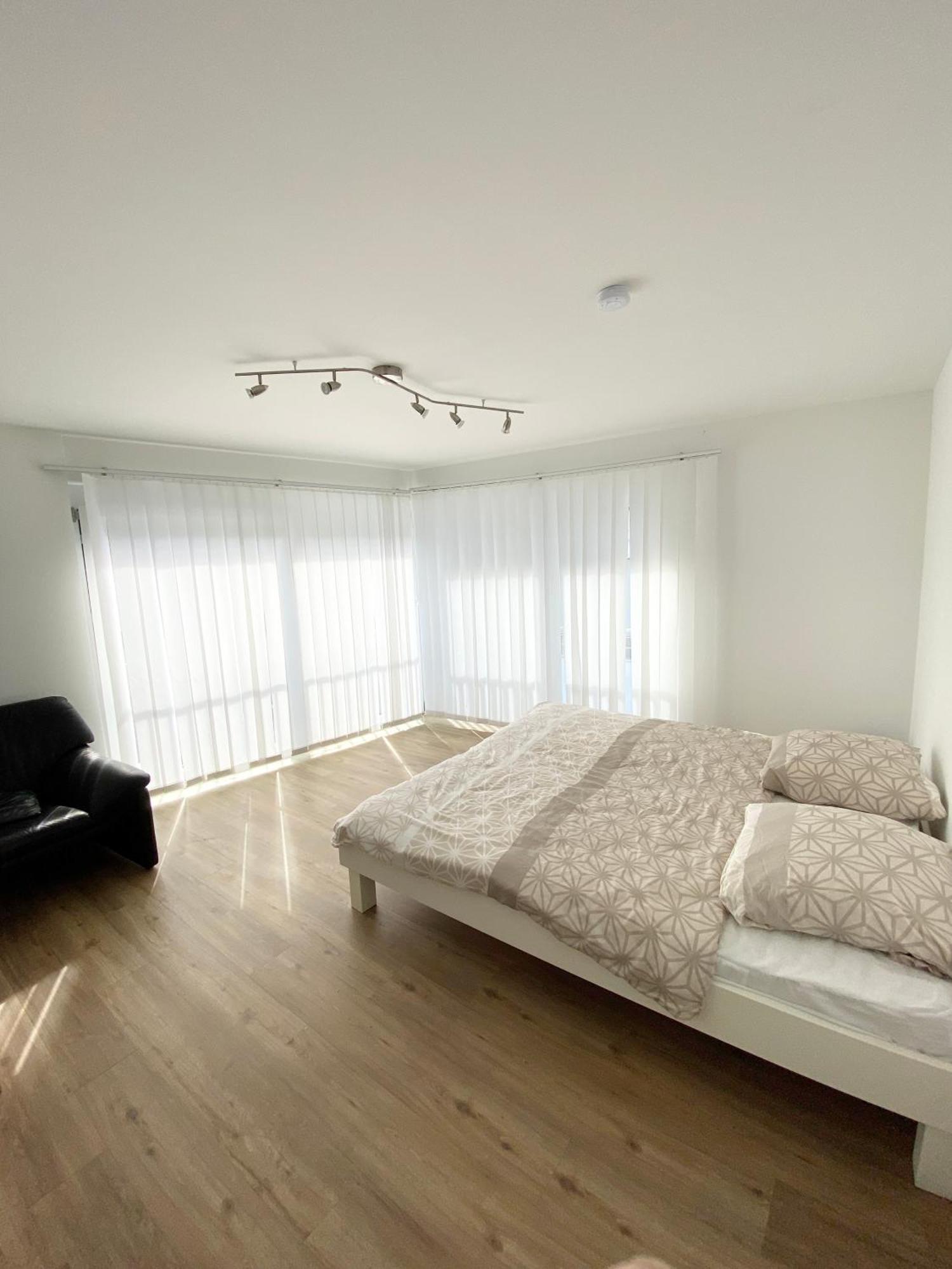 Modern One Bedroom + Bathroom Apartment, 10 Min From Basel City Гренцах-Вилен Экстерьер фото